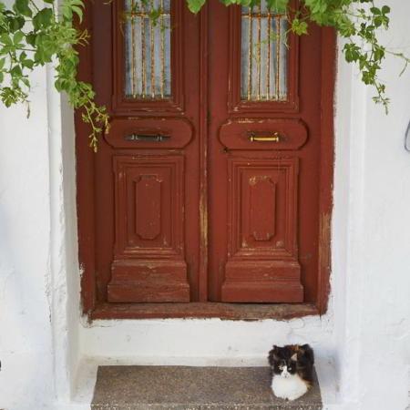 Kokkari Samos Archangelos Village09